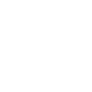GSA LOGO